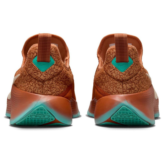 Nike LeBron Tr 1